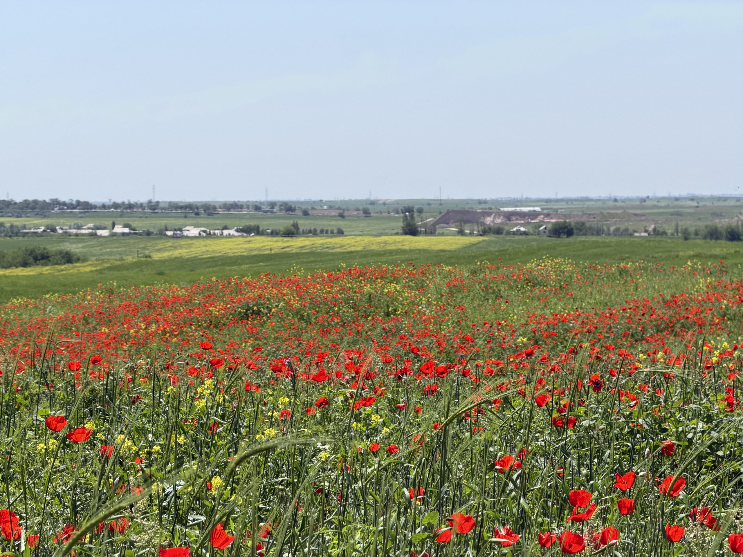 tashkent region